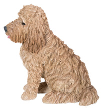 Load image into Gallery viewer, Large Sitting Cream-Coloured Cockapoo
