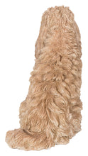 Load image into Gallery viewer, Large Sitting Cream-Coloured Cockapoo
