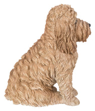 Load image into Gallery viewer, Large Sitting Cream-Coloured Cockapoo
