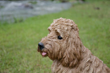 Load image into Gallery viewer, Large Sitting Cream-Coloured Cockapoo

