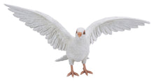 Load image into Gallery viewer, White Pigeon Spreads Wings

