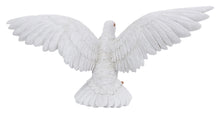 Load image into Gallery viewer, White Pigeon Spreads Wings
