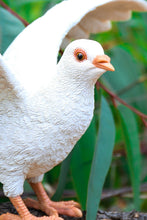 Load image into Gallery viewer, White Pigeon Spreads Wings
