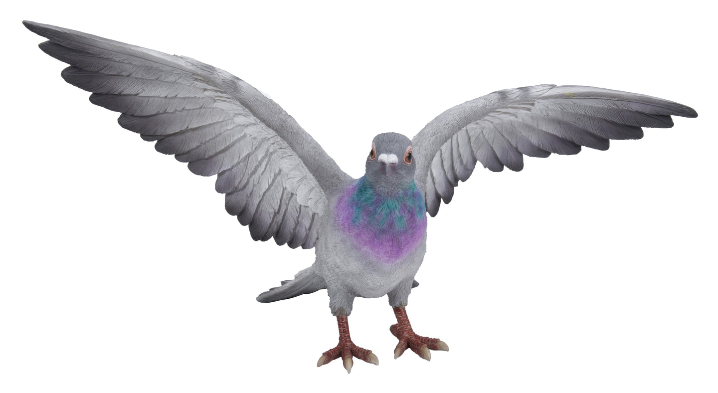 Grey Pigeon with Coloured Neck Statue