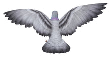 Load image into Gallery viewer, Grey Pigeon with Coloured Neck Statue
