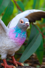 Load image into Gallery viewer, Grey Pigeon with Coloured Neck Statue
