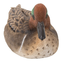 Load image into Gallery viewer, Large Mallard with Green Wing
