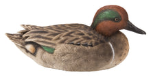 Load image into Gallery viewer, Large Mallard with Green Wing
