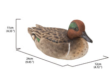 Load image into Gallery viewer, Large Mallard with Green Wing

