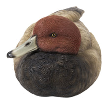Load image into Gallery viewer, Mallard with Red Head
