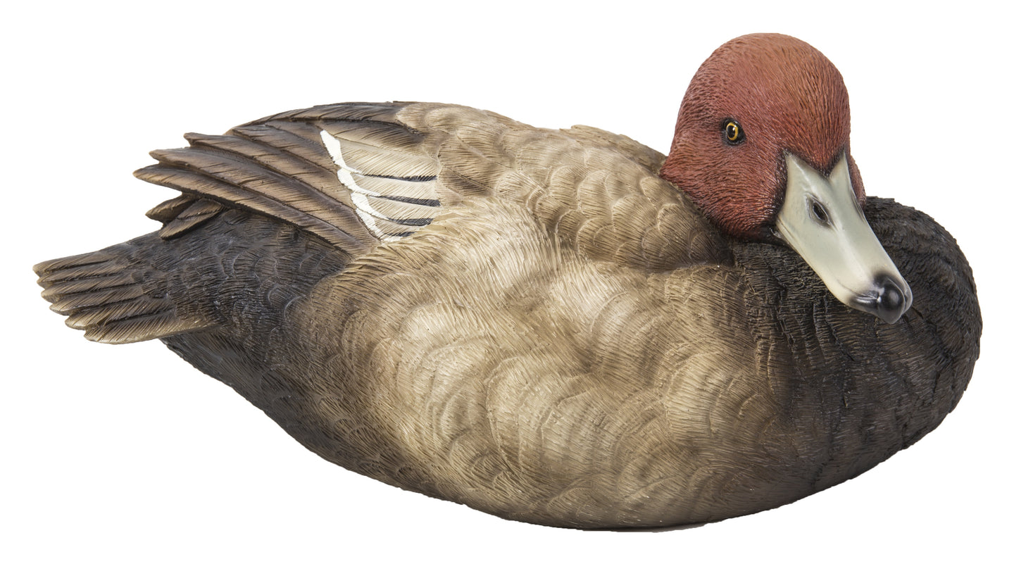 Mallard with Red Head