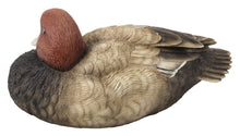 Load image into Gallery viewer, Mallard with Red Head
