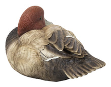 Load image into Gallery viewer, Mallard with Red Head
