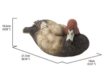 Load image into Gallery viewer, Mallard with Red Head
