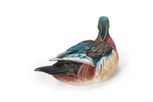Load image into Gallery viewer, Colorful Sitting Wood Duck Garden Statue
