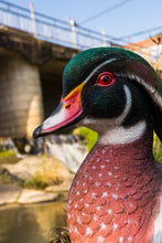 Load image into Gallery viewer, 87682-D - Colorful Sitting Wood Duck Garden Statue
