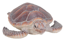 Load image into Gallery viewer, Large Sea Turtle
