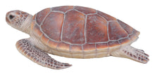 Load image into Gallery viewer, Large Sea Turtle
