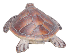 Load image into Gallery viewer, Large Sea Turtle

