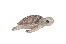 Load image into Gallery viewer, Small Sea Turtle
