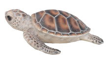 Load image into Gallery viewer, Small Sea Turtle
