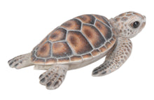 Load image into Gallery viewer, Small Sea Turtle
