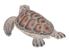 Load image into Gallery viewer, Small Sea Turtle
