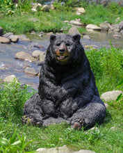 Load image into Gallery viewer, Black Bear Sitting
