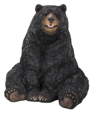 Load image into Gallery viewer, Black Bear Sitting
