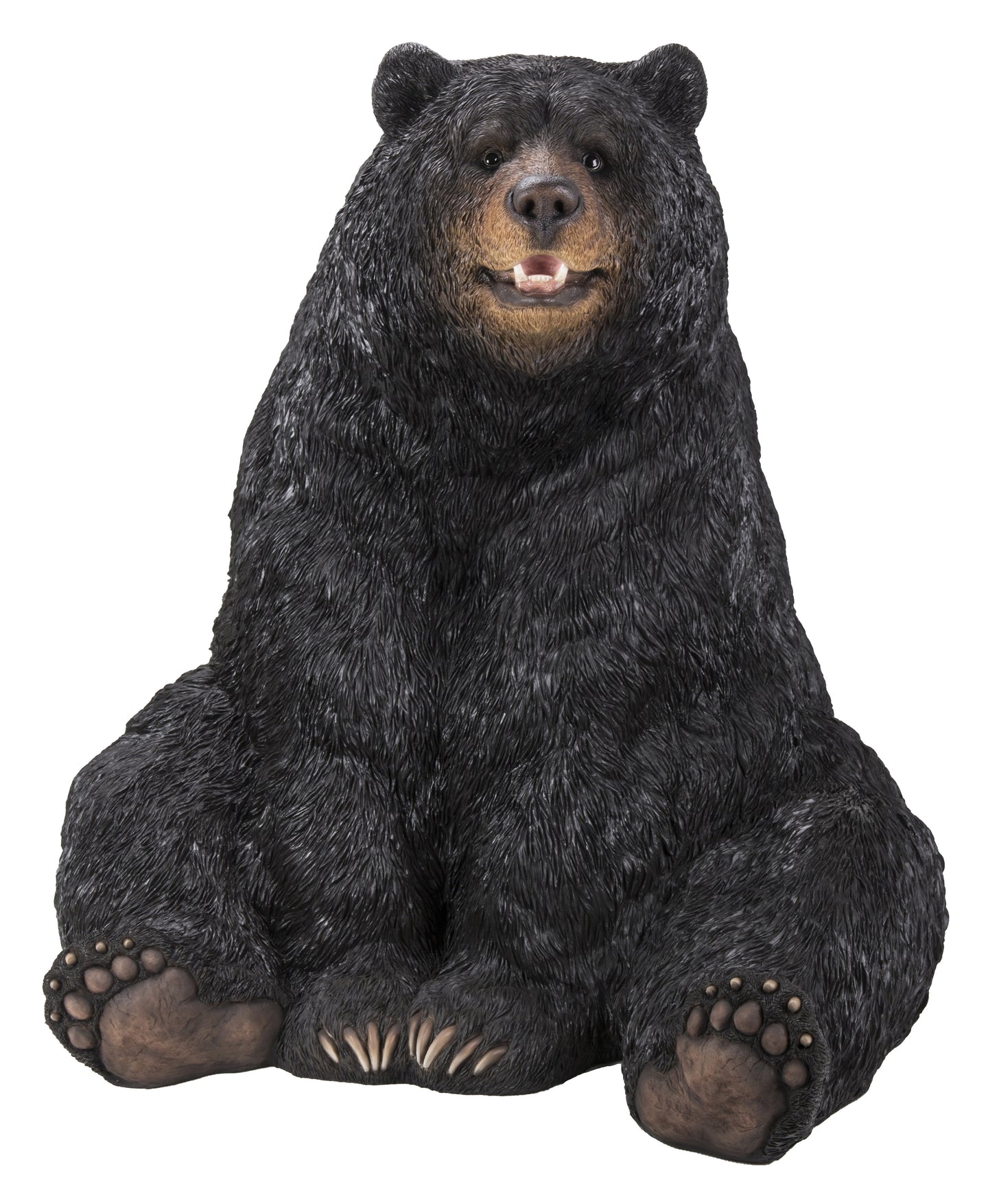 Black Bear Sitting