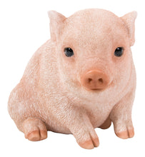 Load image into Gallery viewer, Chubby Piglet Sitting - Pink
