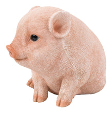 Load image into Gallery viewer, Chubby Piglet Sitting - Pink
