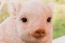 Load image into Gallery viewer, Chubby Piglet Sitting - Pink
