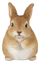 Load image into Gallery viewer, Chubby Rabbit Standing
