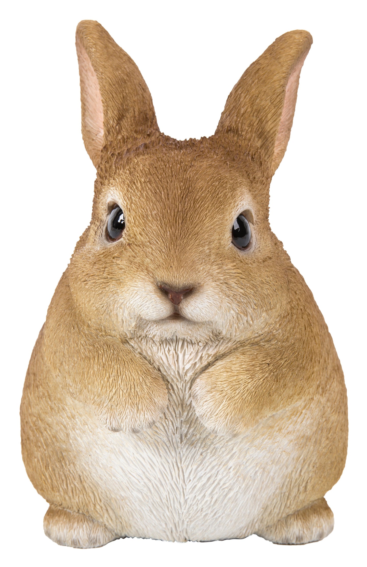 Chubby Rabbit Standing