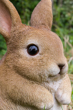 Load image into Gallery viewer, Chubby Rabbit Standing
