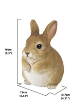 Load image into Gallery viewer, Chubby Rabbit Standing

