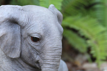 Load image into Gallery viewer, Chubby Elephant Sitting
