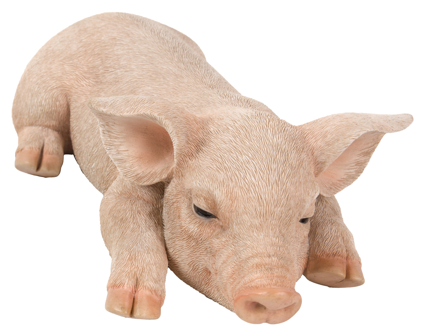 Pig Sleeping