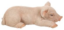 Load image into Gallery viewer, Pig Sleeping
