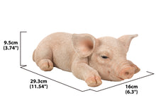 Load image into Gallery viewer, Pig Sleeping
