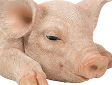 Load image into Gallery viewer, Pig Sleeping
