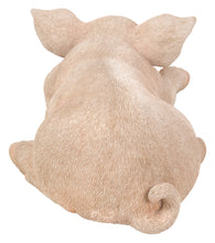 Load image into Gallery viewer, Pig Sleeping
