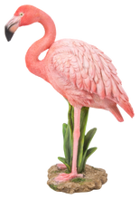 Load image into Gallery viewer, Flamingo Standing
