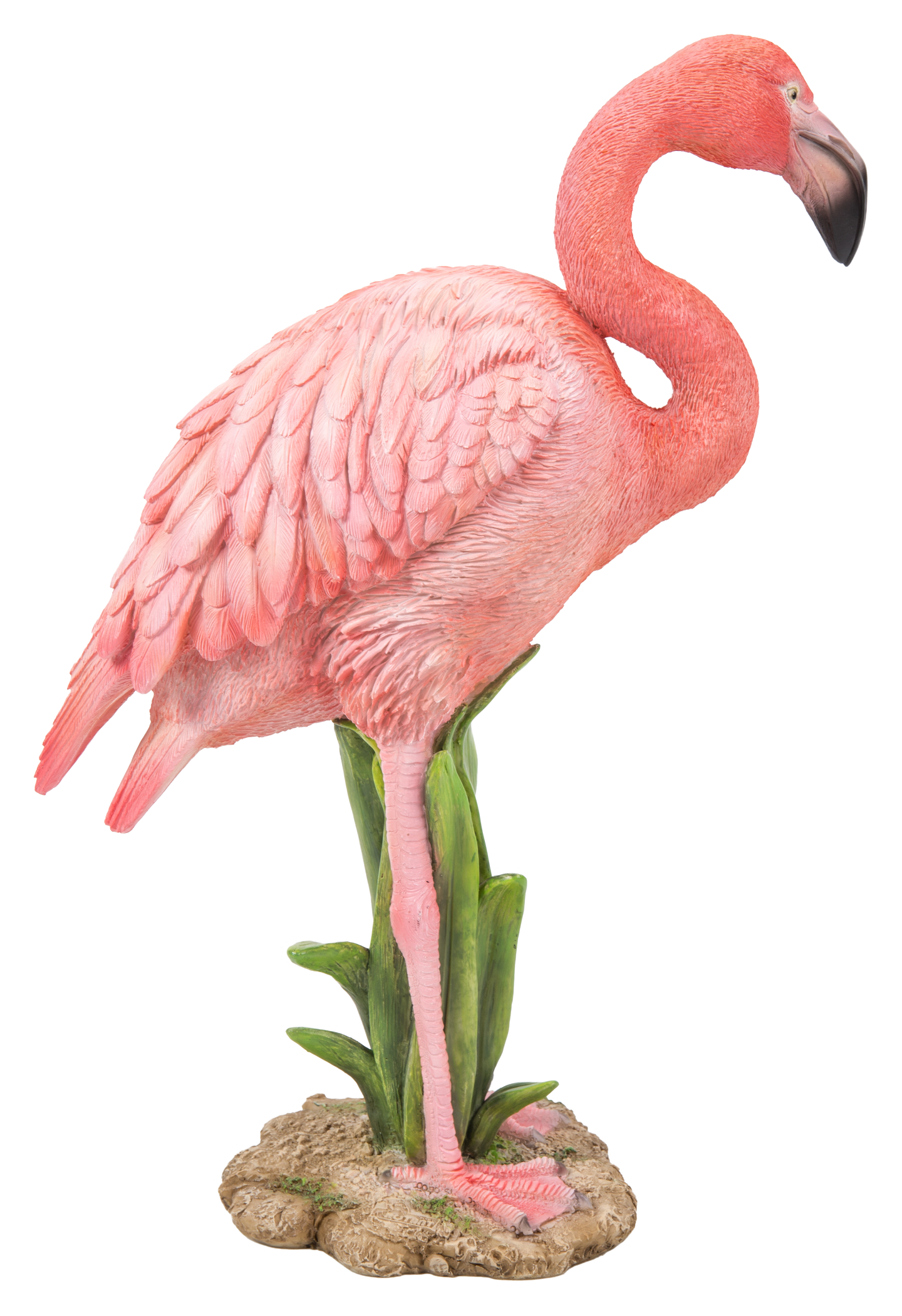 Flamingo Standing