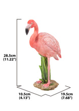 Load image into Gallery viewer, Flamingo Standing
