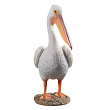 Load image into Gallery viewer, SoReal - Pelican
