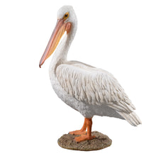 Load image into Gallery viewer, SoReal - Pelican
