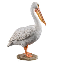 Load image into Gallery viewer, SoReal - Pelican
