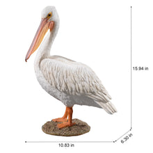 Load image into Gallery viewer, SoReal - Pelican
